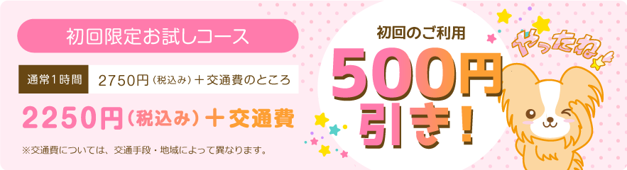 初回限定お得なプラン！お試しコース500円引き